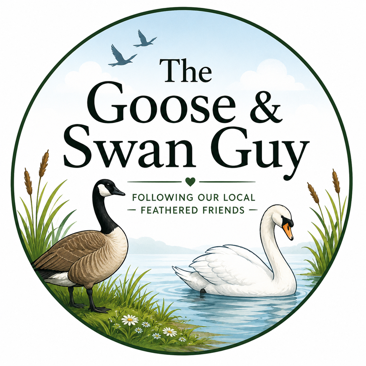 The Goose & Swan Guy