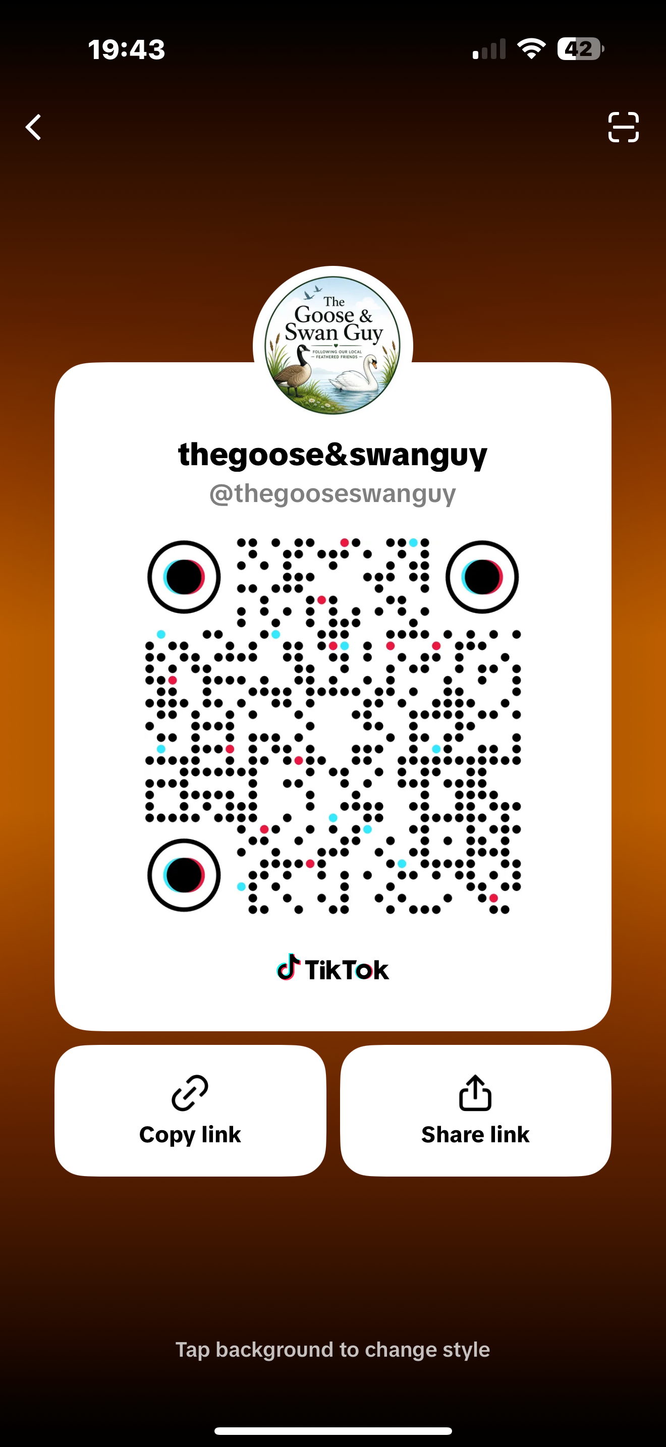 TikTok QR code for @thegooseswanguy