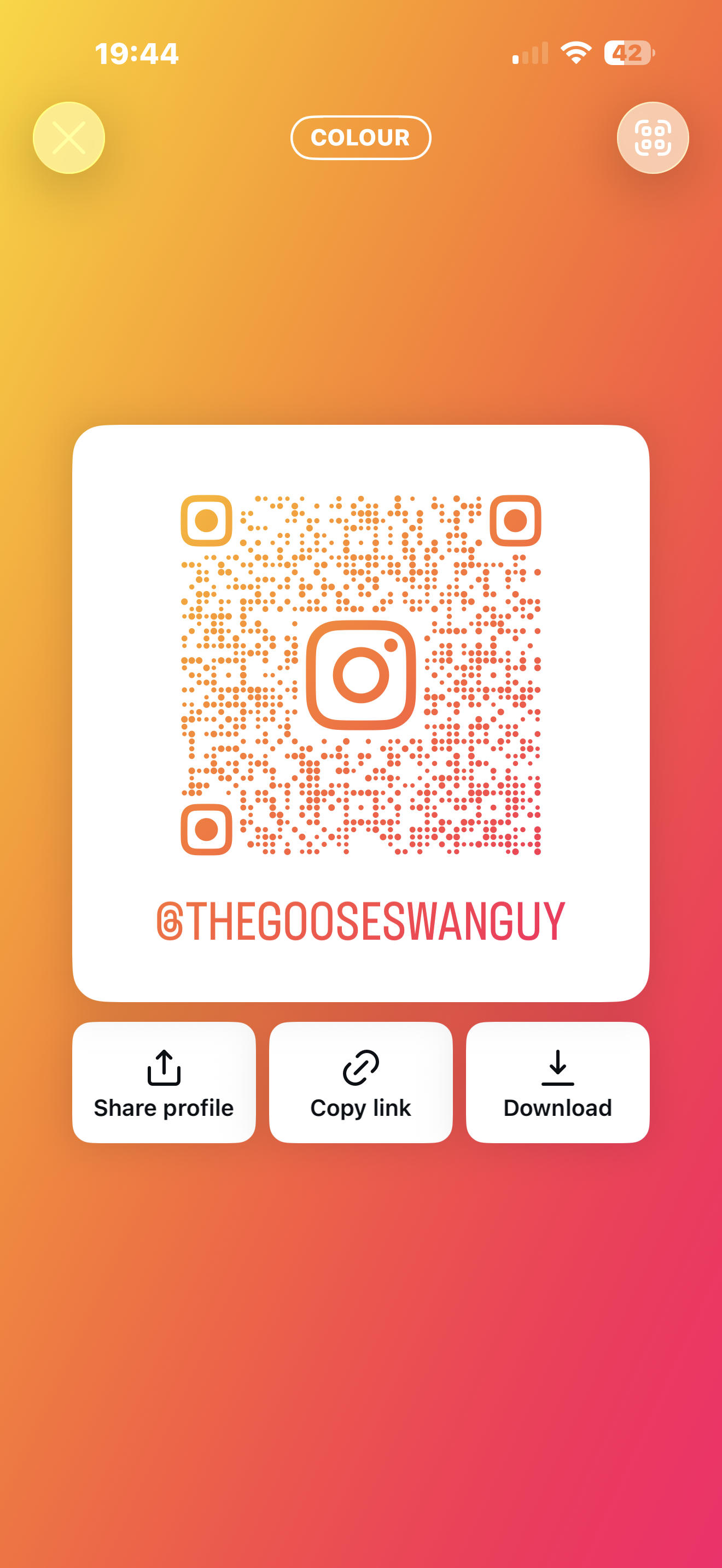 Instagram QR code for @thegooseswanguy